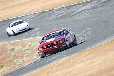 media/May-06-2023-Lucky Dog Racing (Sat) [[8f2256f436]]/Turn 2 10a/